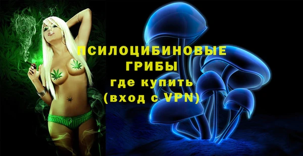 молекула духа Краснослободск