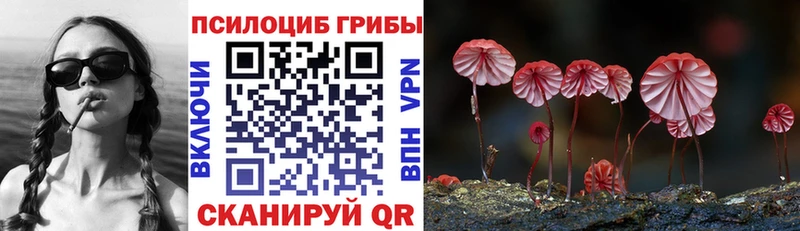 Купить закладки  Калининск  Галлюциногенные грибы Psilocybe 